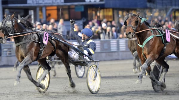 Foto: LARS JAKOBSSON/TR BILD