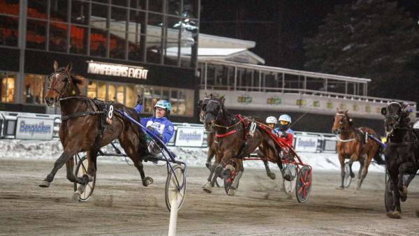 Foto: DAVID SCHREINER / TR BILD