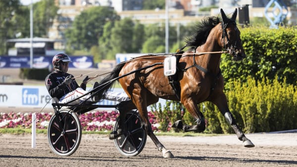 Foto: LENA EMMOTH / TR BILD