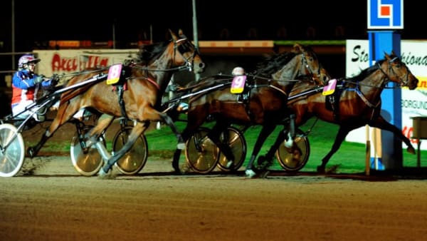 Foto: MALIN ALBINSSON/ALN