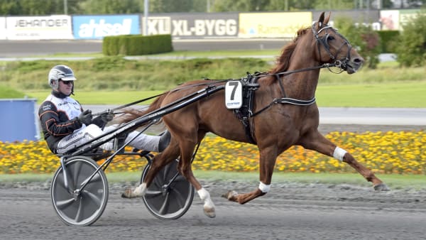 Foto: LARS JAKOBSSON / TR BILD