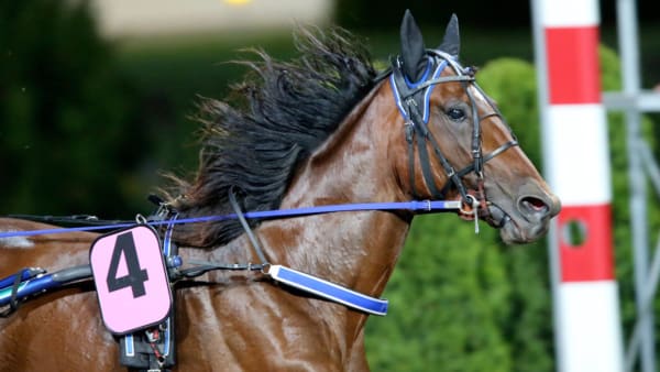 Foto: MIA TÖRNBERG, TR BILD