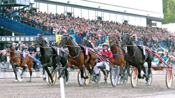 Foto: MARIA HOLMÉN/Travronden