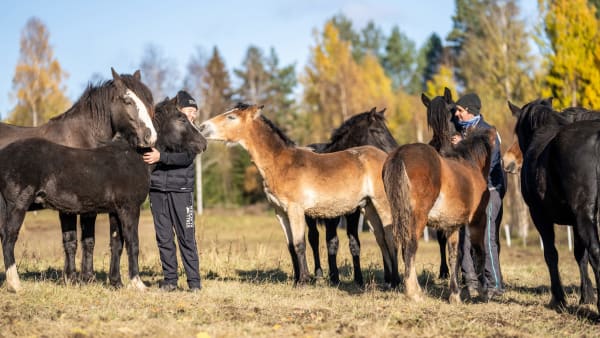 Foto: THOMAS BLOMQVIST / TR BILD