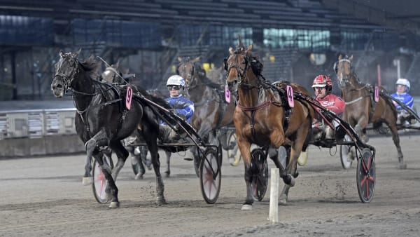 Foto: LARS JAKOBSSON / TR BILD