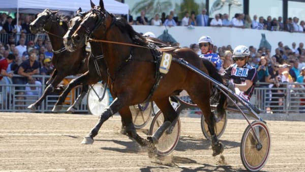 Foto: MICKE GUSTAFSSON/ALN