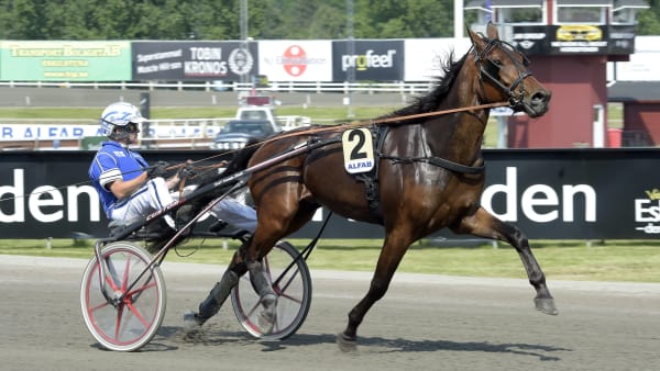 Foto: LARS JAKOBSSON / TR BILD