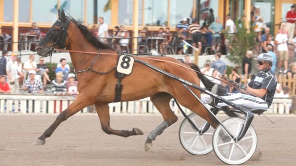 Foto: LEIF NORBERG/ALN