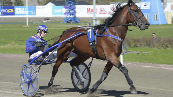 Foto: LARS JAKOBSSON / TR BILD