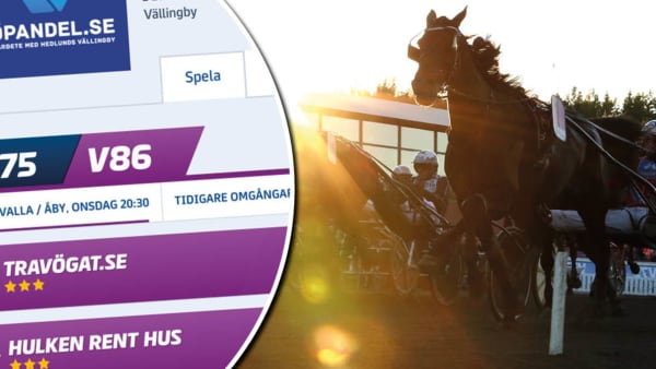 Foto: Maria Holmén/TR Bild/Montage