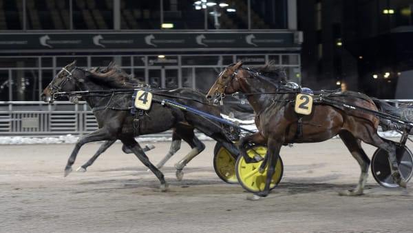 Foto: LARS JAKOBSSON / TR BILD