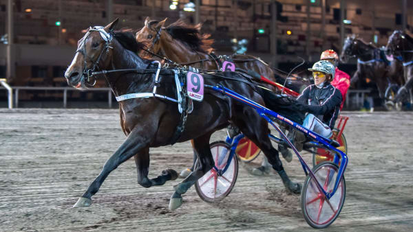 Foto: MIKAEL ROSENQUIST / TR BILD