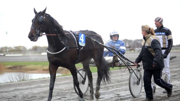 Foto: JÖRGEN TUFVESSON/ALN