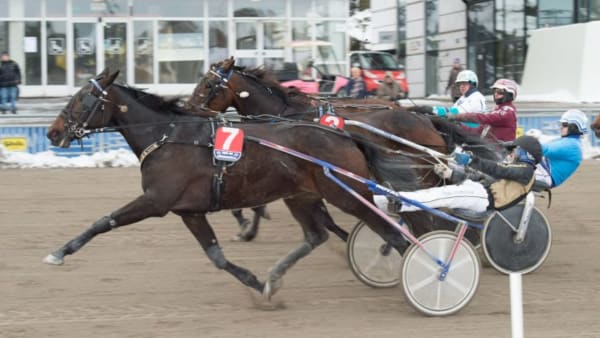 Foto: TOMMY ANDERSSON/ALN