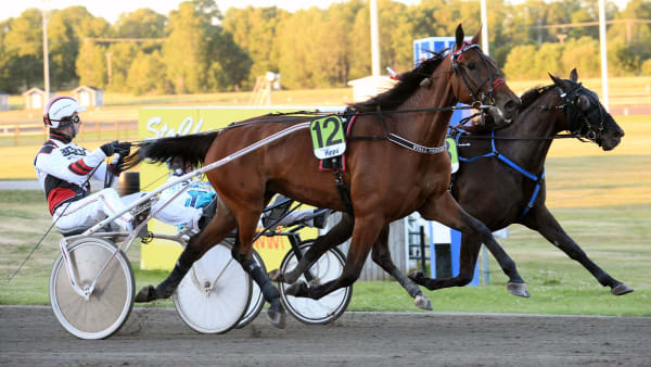 Foto: MALIN ALBINSSON/KANAL 75