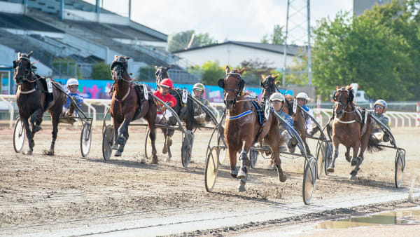 Foto: MIKAEL ROSENQUIST / TR BILD