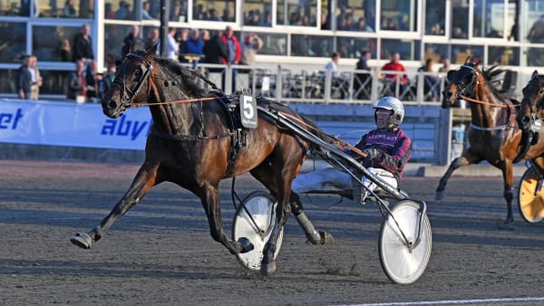 Foto: MALIN ALBINSSON / TR BILD