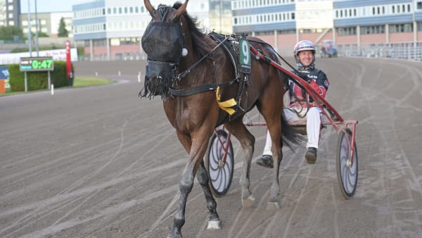 Foto: LARS JAKOBSSON / TR BILD