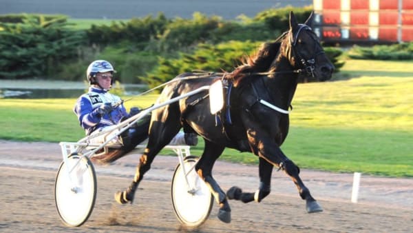 Foto: JÖRGEN TUFVESSON/ALN