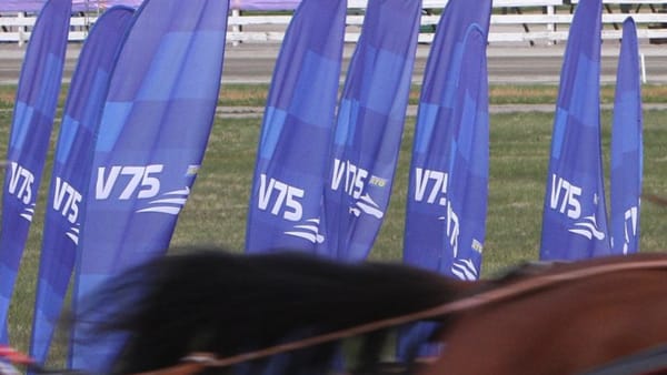 Foto: GUNILLA KÖNIG/STALLTZ.SE