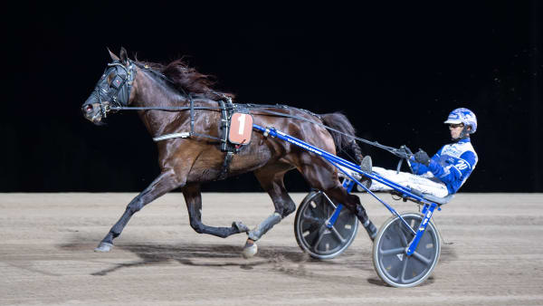 Foto: MIKAEL ROSENQUIST / TR BILD