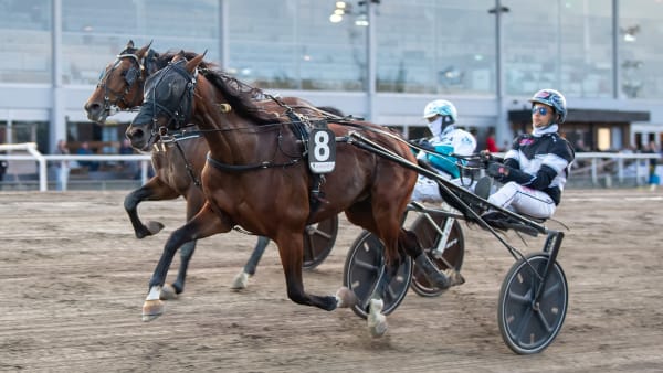 Foto: MIKAEL ROSENQUIST / TR BILD