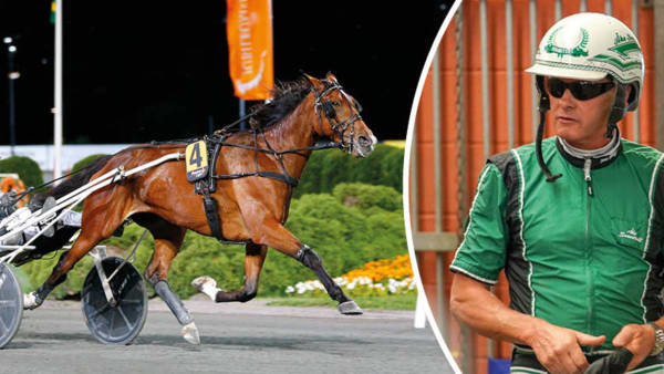 Darling Mearas fortsätter karriären hos Åke Svanstedt.