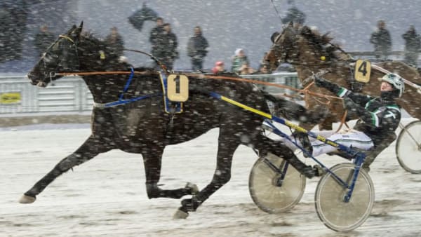 Foto: TOMMY ANDERSSON/ALN