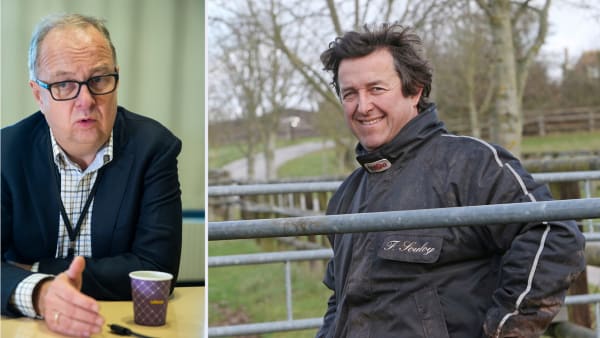 Foto: Roger Svalsröd/Hesteguiden.com/TR BILD/MONTAGE