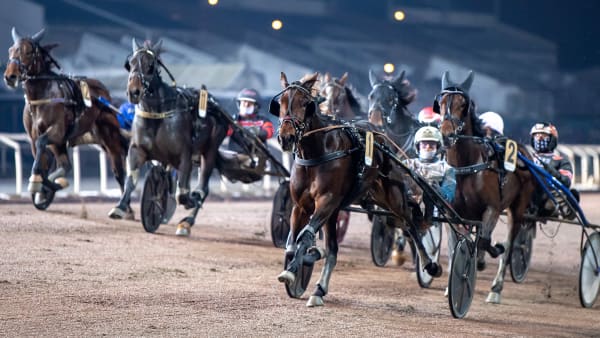 Foto: MIKAEL ROSENQUIST / TR BILD