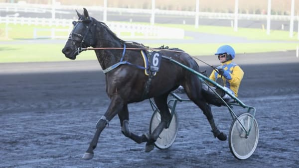 Foto: JEANNIE KARLSSON