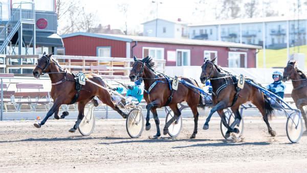 Foto: MIKAEL ROSENQUIST / TR BILD