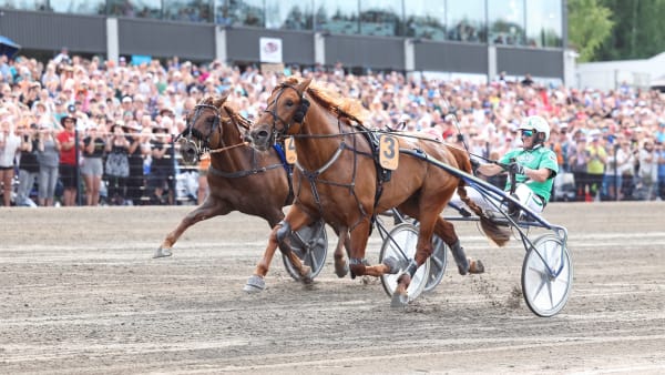 Foto: MAISA HYTTINEN/SUOMEN HIPPOS