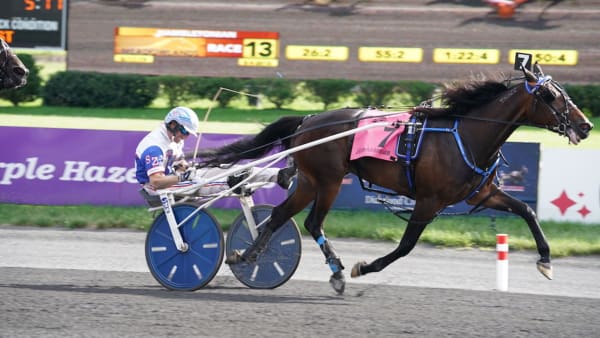 Foto: Thomas Blomqvist