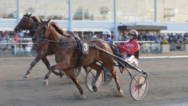 Foto: Lars Jakobsson/Kanal 75