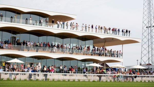 Foto: Elina Björklund/Svensk Galopp