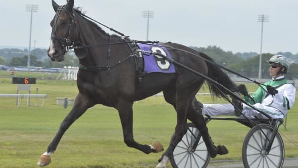 Foto: Stefan Melander/stalltz.se