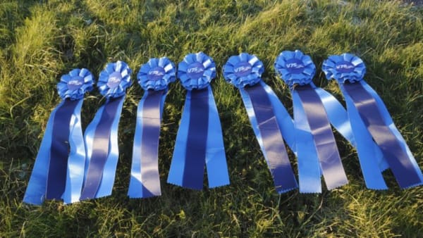 Foto: CHRISTER NORIN/ALN