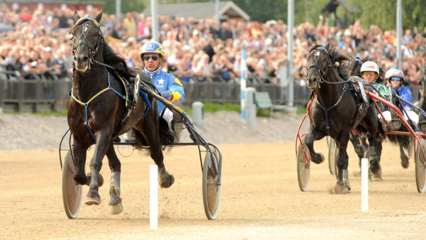 Foto: LARS JAKOBSSON / TR BILD