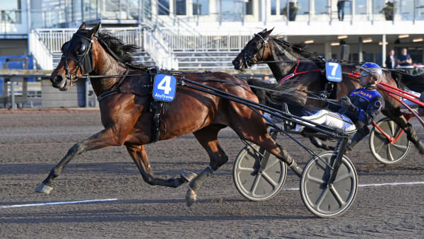 Foto: MALIN ALBINSSON / TR BILD