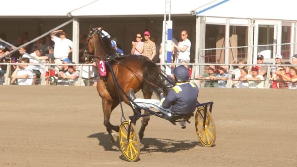 Foto: MICKE GUSTAFSSON