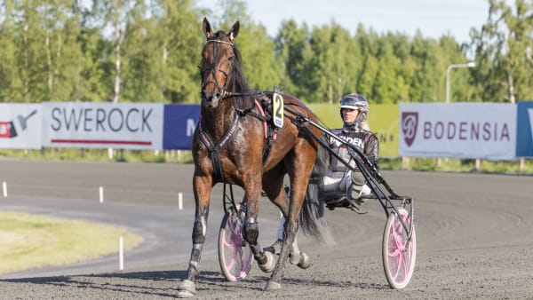 Foto: LENA EMMOTH / TR BILD