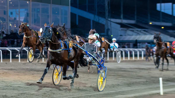 Foto: MIKAEL ROSENQUIST / TR BILD