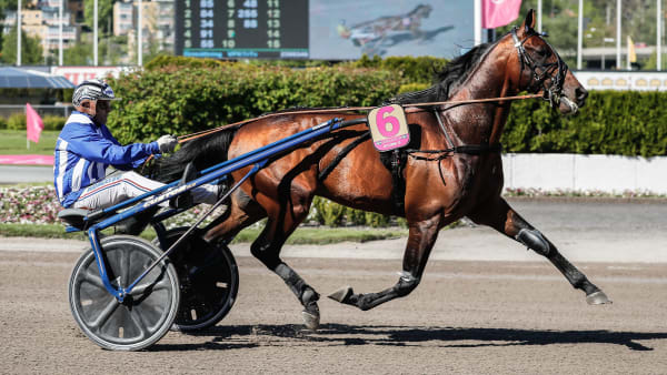 Foto: LENA EMMOTH / TR BILD