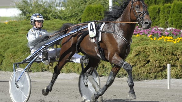 Foto: MARTIN LANGELS/ALN