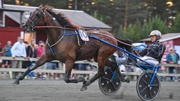 Foto: MALIN ALBINSSON / TR BILD