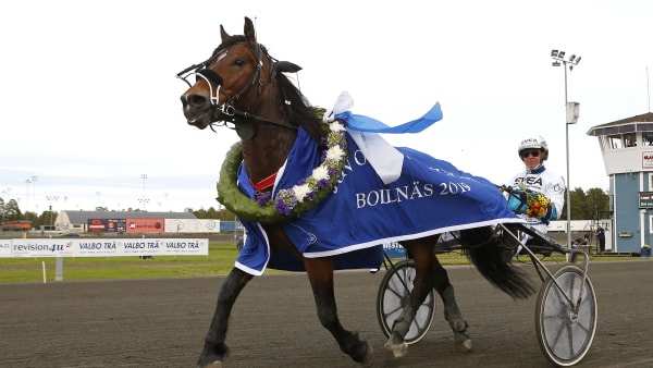 Foto: MARIA HOLMÉN / TR BILD