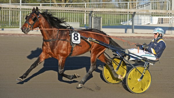 Foto: MALIN ALBINSSON / TR BILD