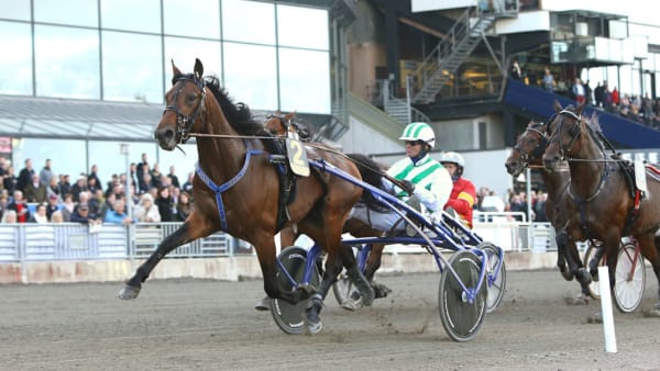 Foto: MARIA HOLMÉN/TRAVRONDEN