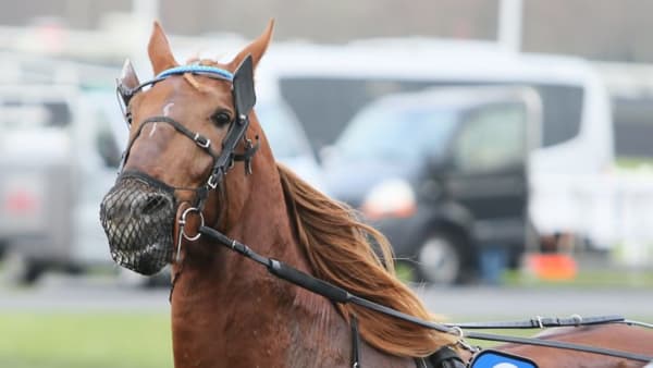 Foto: JEANNIE KARLSSON